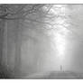 Alone in the mist