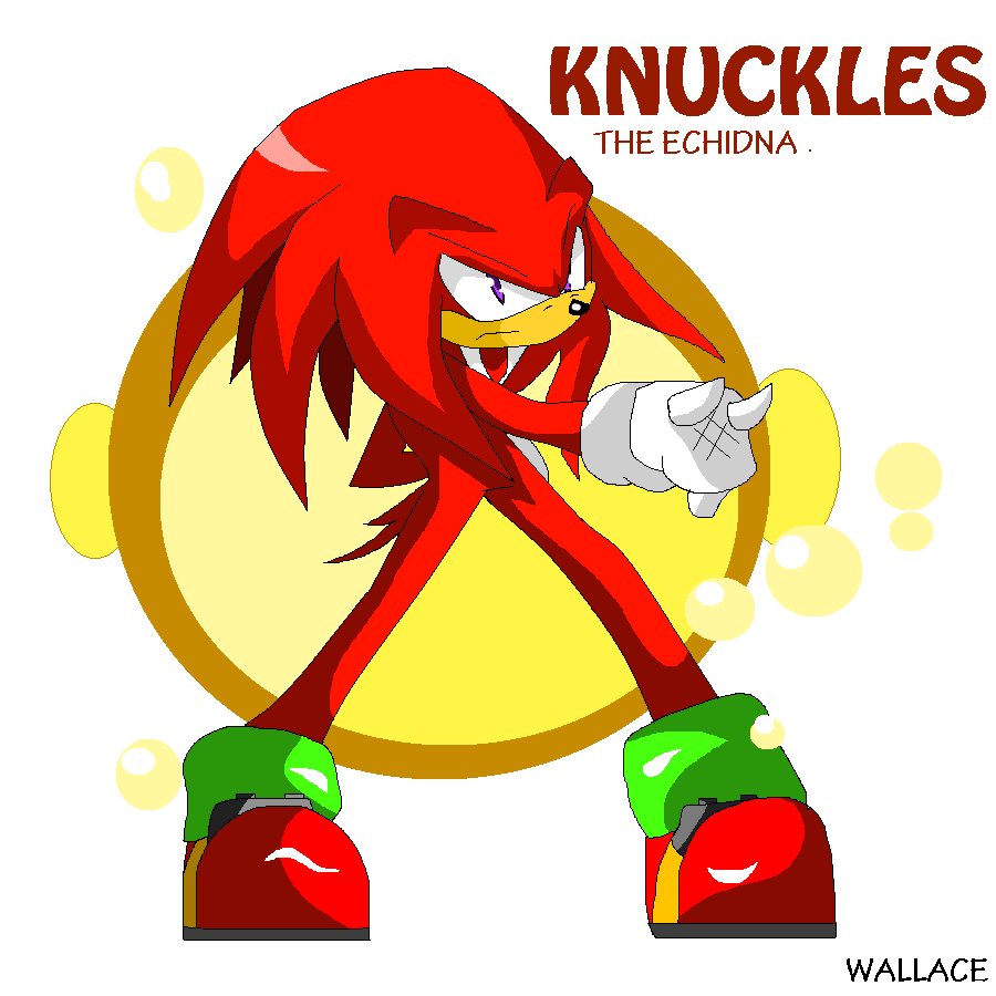 KNUCKLES the echidna