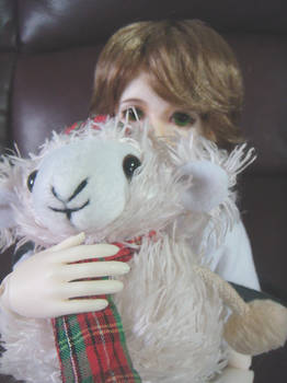 Misha and the little sheep