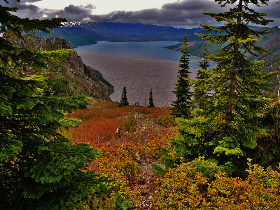 Spirit Lake- Mt.St. Helens