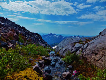 Little Creek on Rainier