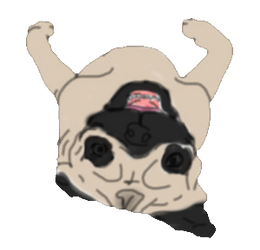 PewDiePie's Pug Maya