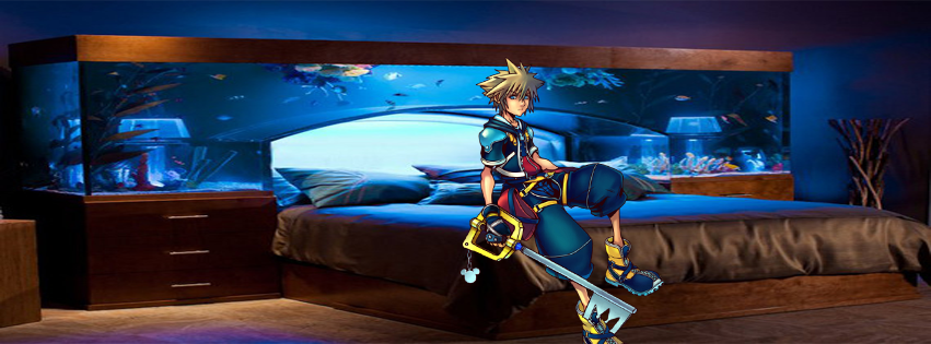 Sora Set On Bed Facebook Cover