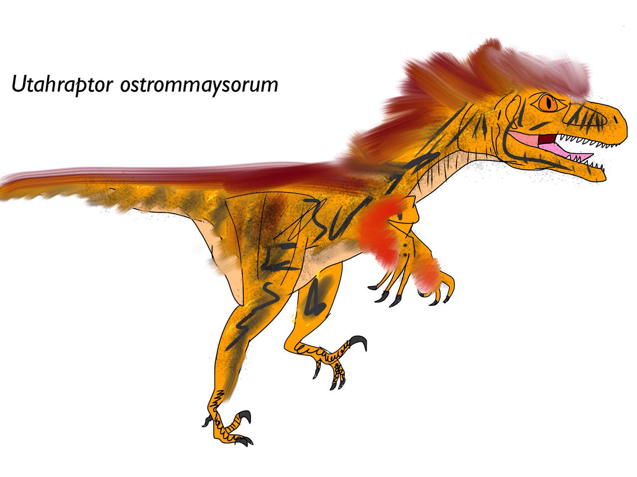 Utaraptor Utahraptor ostrommaysorum by Vespisaurus on DeviantArt