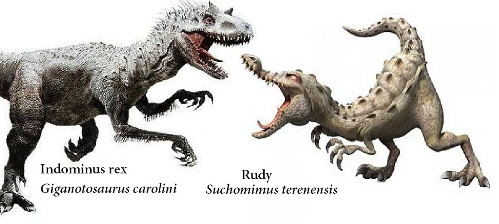 Indominus rex vs Rudy by Vespisaurus on DeviantArt