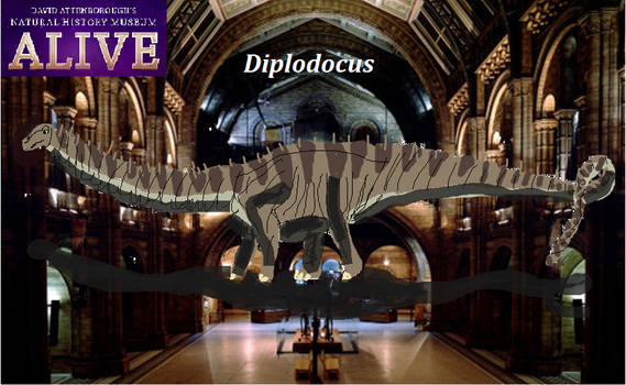 Natural History Museum Alive Diplodocus