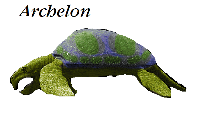 Dinosaur Train Archelon In Real Form By Vespisaurus On Deviantart Dinosaur Train Archelon In Real Form By Vespisaurus On Deviantart