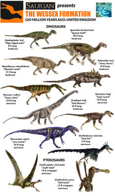 Dinosaurs of the Isle of Wight (Wessex)