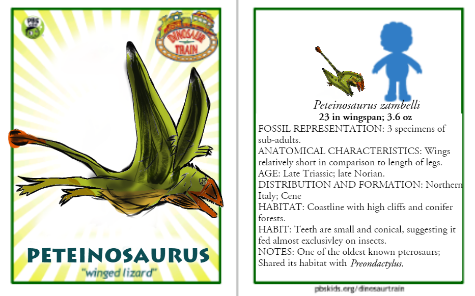 Dinosaur Train Peteinosaurus card (revised)