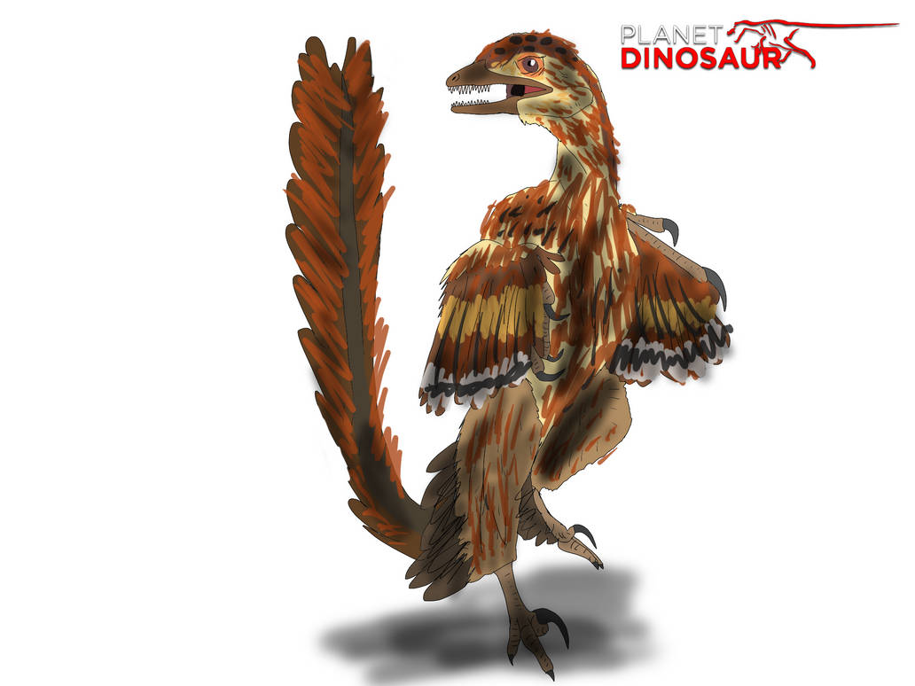 Sinornithosaurus Planet Dinosaur- Sinornithosaurus by Vespisaurus on DeviantArt