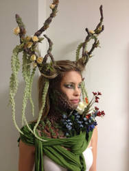 Dryad