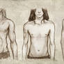 Animae - Body Types: the boys