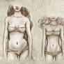 Animae - Body Types: the girls