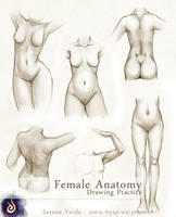 Female Anatomy Drawing Practice