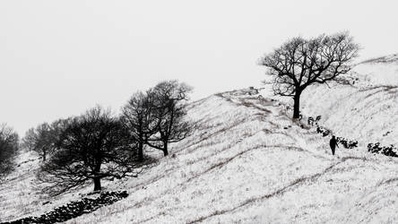 Snowy Hills