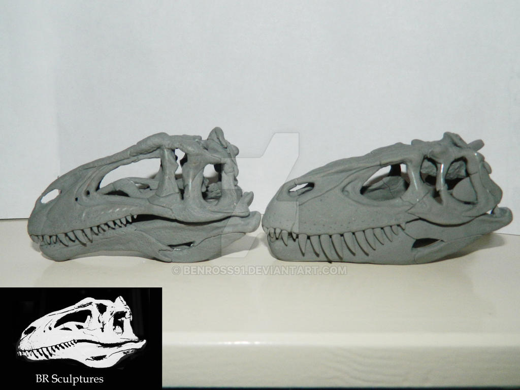 Acrocanthosaurus and Torvosaurus skulls 1/15 scale