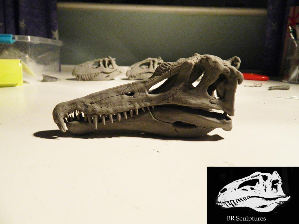 Spinosaurus skull 1/15 scale