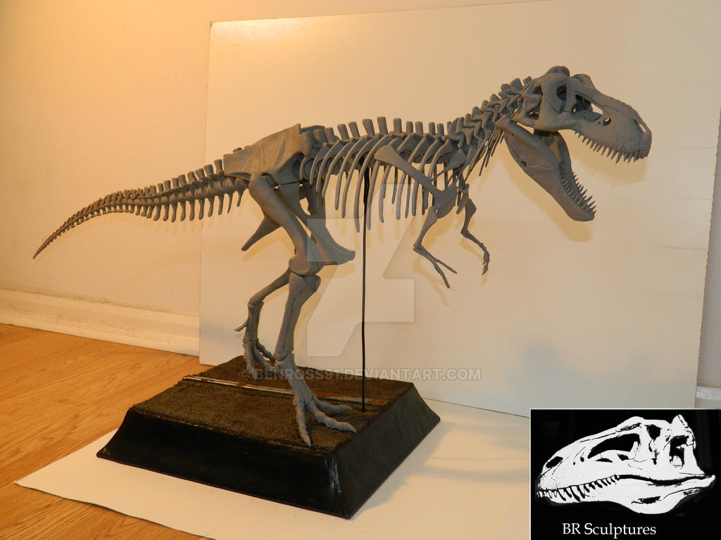 Jurassic Park T.rex skeleton 1 : 10 scale by Benross91 on DeviantArt