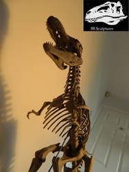 Jurassic Park T.rex skeleton 1 : 10 scale