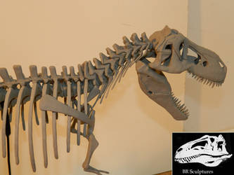 Jurassic Park T.rex skeleton 1 : 10 scale