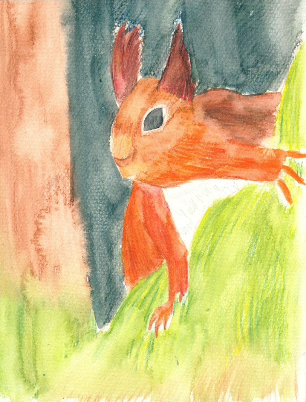 Deviantart Risumon Squirrel Red Squirrel by MantaDrifter on DeviantArt