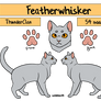 Character Sheet: Featherwhisker