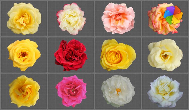 Free High Resolution Flowers By Plaintextures On DeviantArt