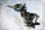 Taxidermia by VICTORSKELET