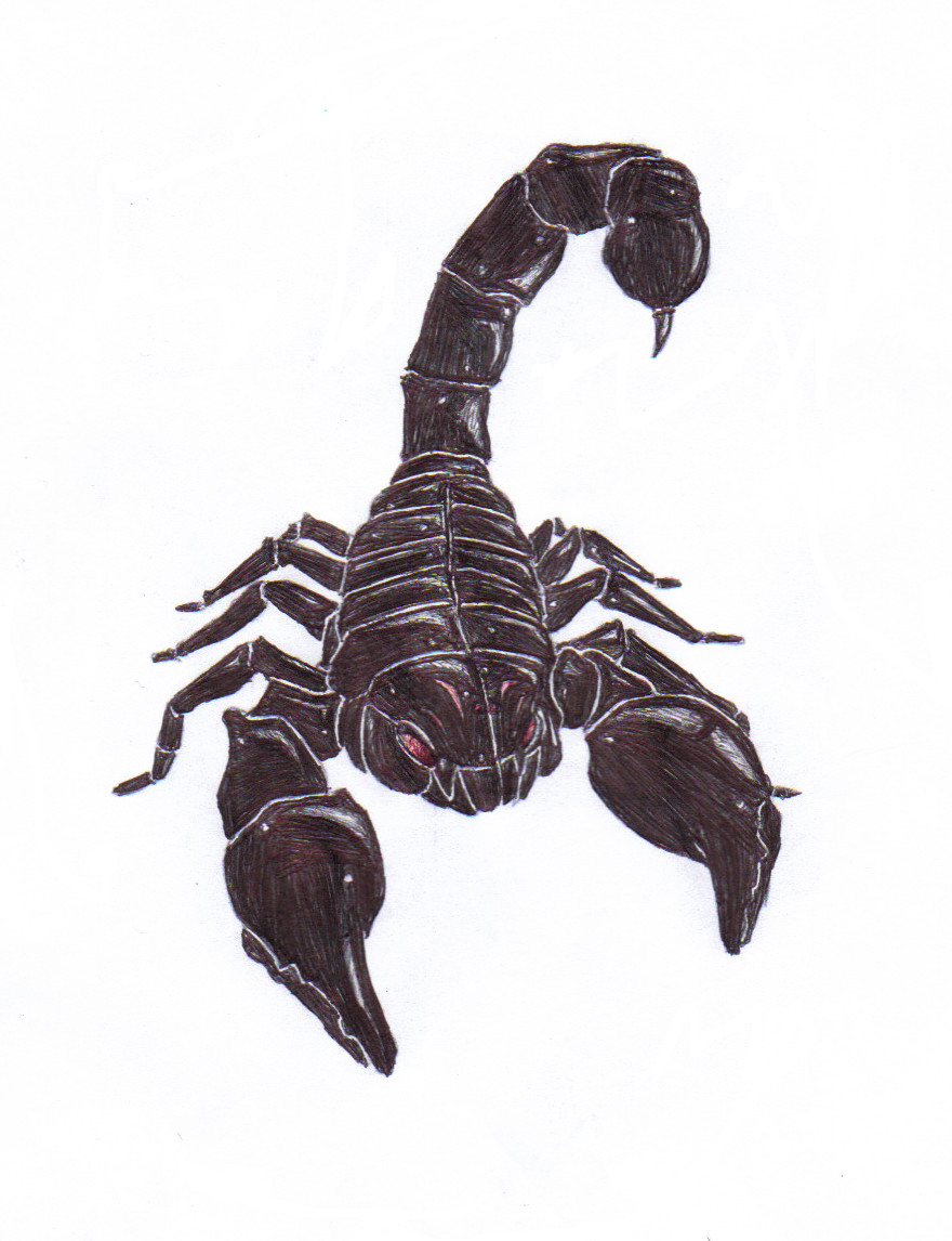 Scorpion Tattoo