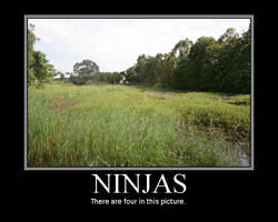 Ninjas Motivational Poster