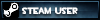 Steam User Lil Badge