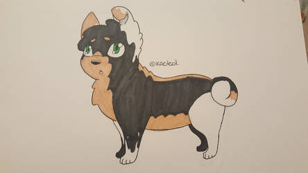 chubby puppy adopt  (open)