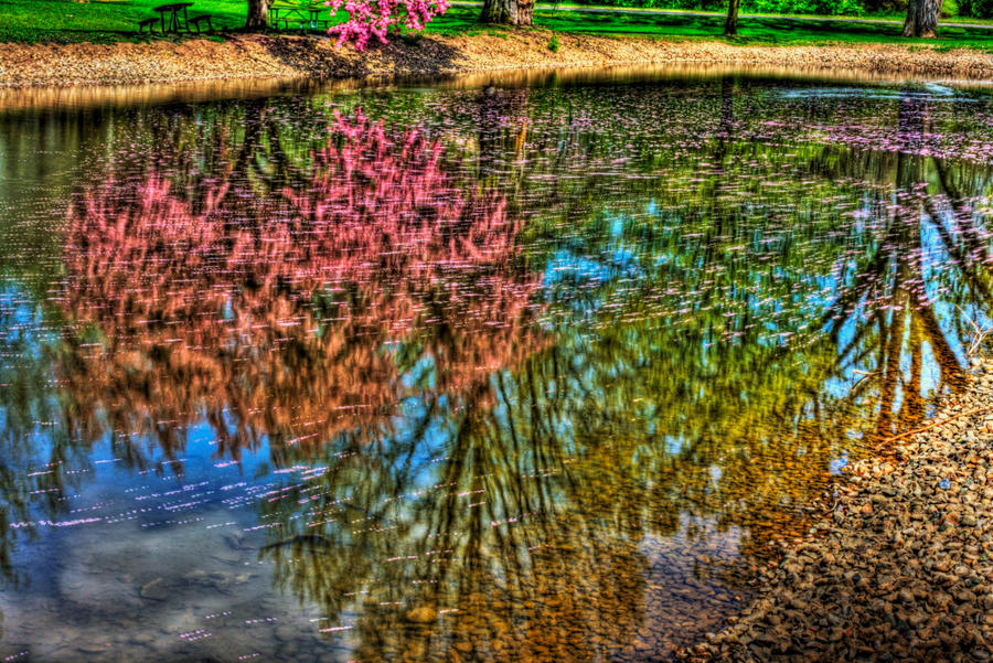 Reflecting Color