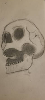 unfinished skull