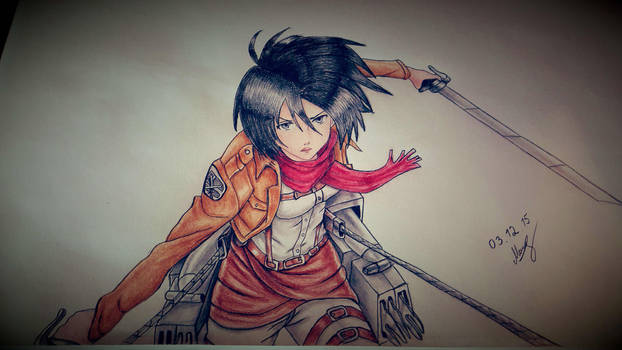 Mikasa Ackerman - Shingeki no Kyojin