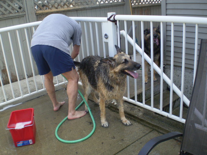 Dumyles' Bath