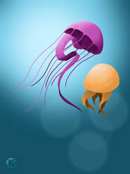 Meduse