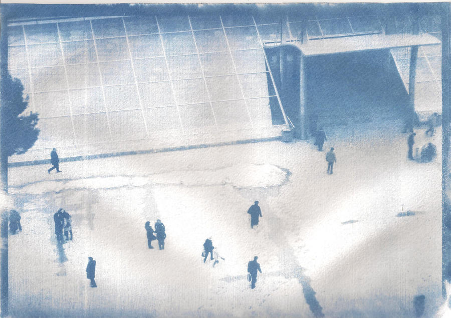 cyanotype 2