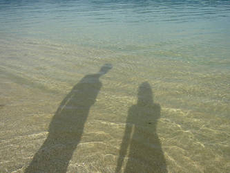 Shadows in the water