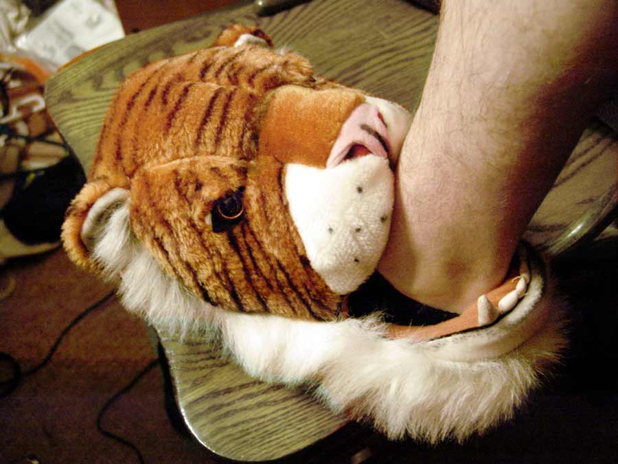 tiger slipper