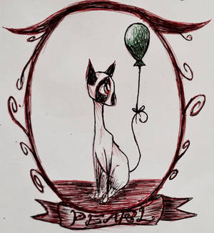 Tim Burton style cat- (Cat Burton) 