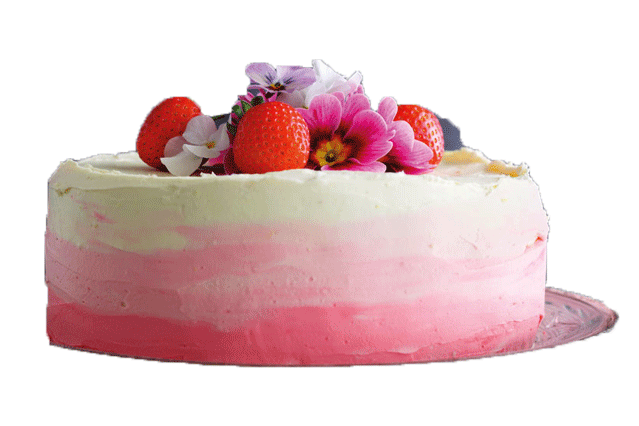 Pink Cake Deviantart Pink chiffon cake by Kirakiradolls on DeviantArt