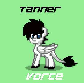 Tanner Vorce