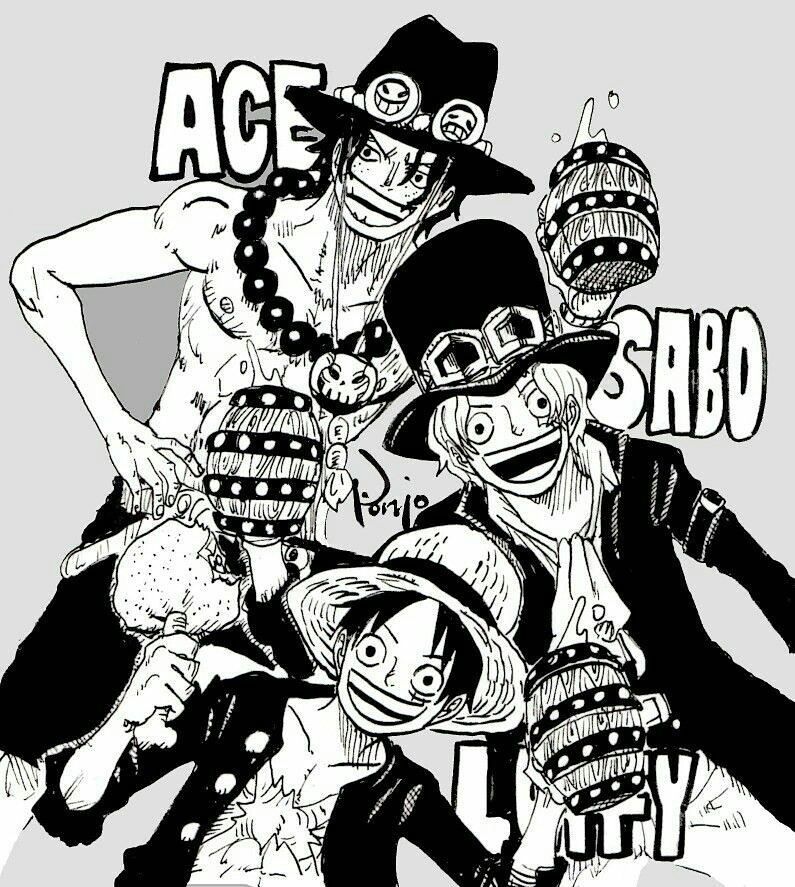 Ace, Sabo, and Luffy  Ace and luffy, One piece manga, Ace sabo luffy