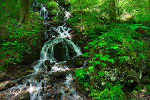 Rock Island waterfall