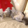 kittyy