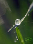 Beauty of Nature IIII by dexter13-sk