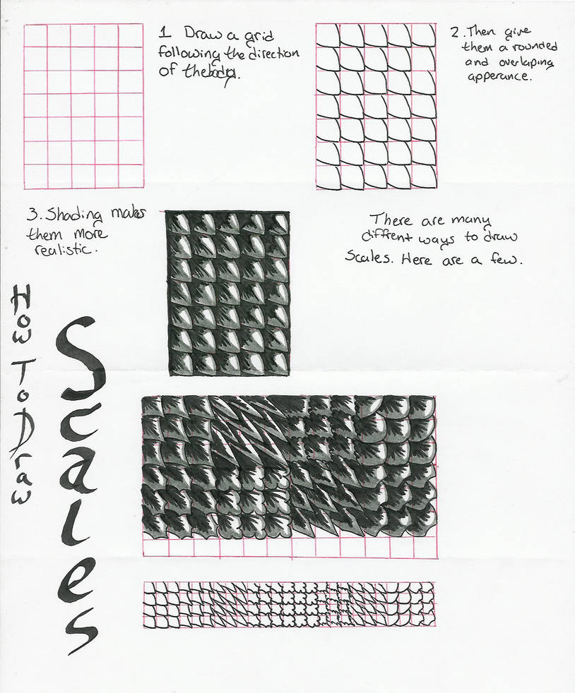 How to Draw Scales by xenodraco on DeviantArt