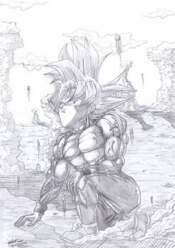 Goku in end Game 