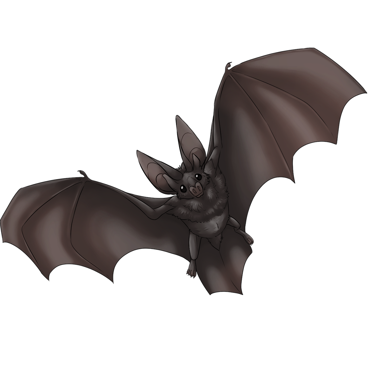 Deviantart Bat Winged Bat Black by DinoData on DeviantArt